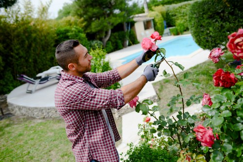 A man with short dark hair and a beard, dressed in a red and white checkered shirt, is pruning pink and red roses in a landscaped backyard garden. The garden features a well-maintained green lawn, edged with neatly trimmed hedges and shrubbery, and a variety of flowering plants. In the background, there is a rectangular swimming pool with clear blue water, surrounded by a paved patio area with a grey sun lounger. Tall trees and lush greenery create a natural enclosure around the outdoor space, which appears to be during a bright and mild day with soft sunlight. The man is wearing black gardening gloves and appears focused on carefully trimming the rose bushes, illustrating professional gardening and outdoor maintenance work typical of local landscaping services such as those offered by Landscapers Mill Hill in the Mill Hill area of London, postcode NW7. The scene highlights gardening tasks and outdoor plant care within a domestic garden setting, emphasizing attention to detail and horticultural expertise.