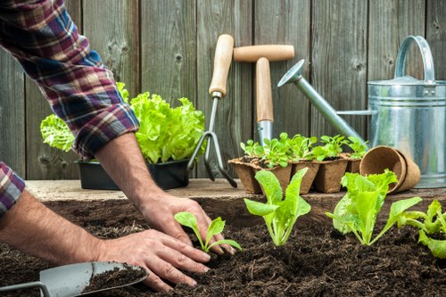 Lawn maintenance in Mill Hill