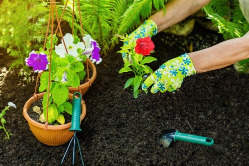 A gardener wearing colourful patterned gardening gloves is planting a red flower into dark, moist soil in a garden bed. In the foreground, there are two hanging flower pots with purple and white petunias, supported by a wooden frame, with lush green fern-like foliage nearby. The garden workspace includes a small hand trowel lying on the soil, indicating outdoor planting activity. The background features more leafy green plants, creating a vibrant and well-maintained garden scene, which is typical of outdoor landscapes in Mill Hill. This setting suggests active garden care and planting, in an environment that combines ornamental flowering plants, container pots, and natural ground cover, reflecting skilled gardening services such as those offered by Landscapers Mill Hill for residential outdoor spaces.