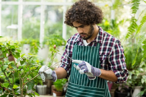 A young man with curly brown hair and a beard works in a lush greenhouse or garden nursery setting, wearing a green and white striped apron over a checkered shirt and grey gardening gloves. He is carefully examining or pruning a small flowering plant with delicate pink blossoms and slender green stems, holding a gardening tool or pruning shears in his right hand. Surrounding him are various green leafy plants, shrubs, and small trees, with some potted greenery visible on shelves or the ground. The background reveals a structure with glass panels allowing natural light to illuminate the workspace, creating a bright, verdant environment suitable for gardening activities. The scene reflects professional horticultural care typical of landscaping or garden maintenance services, emphasizing attention to detail in plant care within a healthy, well-maintained outdoor or greenhouse garden area, possibly in the Mill Hill area of London, UK.
