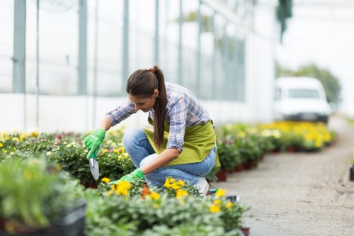 A woman wearing green gardening gloves, a plaid shirt, and blue jeans is crouched down in a garden, tending to flower beds with yellow and purple blooming plants. She appears to be planting or pruning, with a trowel in her right hand. The garden features neatly organized flower beds with dark soil, bordered by a gravel path on the right side. In the background, there is a large greenhouse structure with glass panels, and some trees and foliage are visible beyond. The environment is well-maintained, suggesting outdoor gardening work, with natural daylight illuminating the scene. The setting is typical of a suburban garden in Mill Hill, with lush greenery and a focus on floral landscaping, indicative of professional garden maintenance or landscaping services from Landscapers Mill Hill.