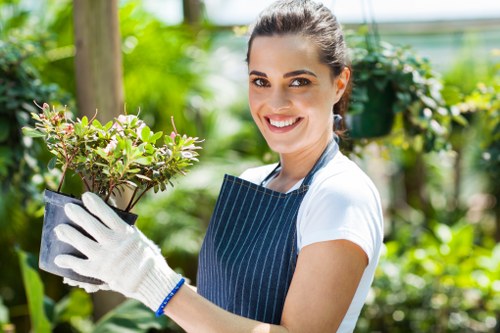 Professional arborist assessing tree health in Mill Hill