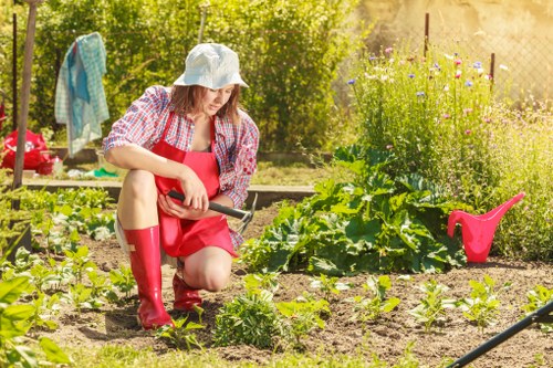 A woman kneeling in a well-maintained garden in Mill Hill, surrounded by rows of green leafy plants and young vegetables growing in neatly cultivated soil. She is wearing a white sun hat, a pink apron, a plaid shirt, and red rubber boots, and is using a small garden tool to tend to the plants. In the background, there are flowering plants and shrubs, with a garden hose and pink watering can visible nearby. The scene is bathed in natural sunlight, with a wooden fence and lush greenery creating a peaceful outdoor environment, reflecting typical gardening and landscaping activities in the Mill Hill area. This setting highlights careful vegetable patch maintenance and outdoor gardening efforts supported by local garden maintenance services.