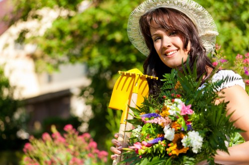 Professional garden clearance work in Mill Hill