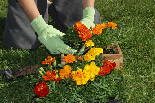 Spring garden maintenance activities