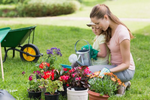 Professional landscaper designing a yard in Mill Hill