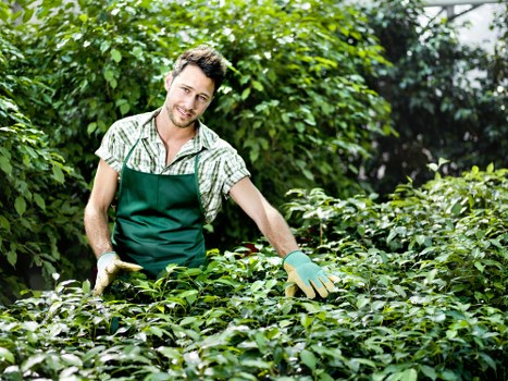 Sustainable lawn mowing practices