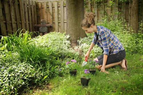 Team of landscapers working on a garden project in Mill Hill