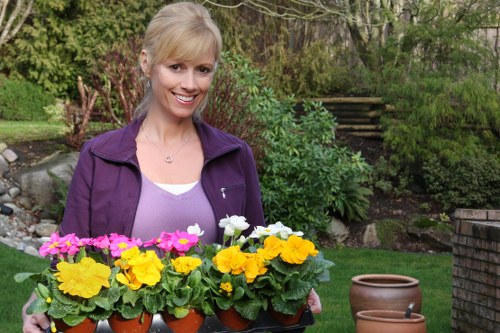 A woman with blonde hair pulled back wearing a purple jacket and a lavender top stands in a well-maintained backyard garden, holding a black tray of vibrant potted flowering plants, including yellow, pink, and white blooms. Behind her, the garden features lush green grass, neatly trimmed hedges, and a variety of shrubs and small trees, with a set of wooden steps leading up a slope on the right side. The garden area appears tidy and inviting, with natural sunlight illuminating the scene and casting gentle shadows, reflecting a space maintained by professional gardening services such as landscapers in Mill Hill. The image showcases a peaceful outdoor environment with a mix of cultivated flower beds and natural greenery, suitable for garden care and landscape enhancement focused on vibrant plant displays and outdoor aesthetic improvements in the local area.