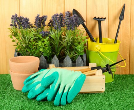 In a well-maintained garden area, a front yard landscaped space features a vibrant green artificial grass surface. Several terracotta flower pots are positioned in the background, some containing young plants with bright green foliage. To the left, there is a cluster of lavender plants with purple flower spikes creating a colourful contrast against the greenery. In the foreground, gardening tools including a pair of teal and yellow gardening gloves rest partially inside a light wooden storage box. Behind these tools, a lime green plastic bucket holds a variety of garden implements, such as a hand trowel, a cultivator, and a pair of pruning shears. The garden is set against a backdrop of warm-toned wooden fencing, giving the area a tidy and inviting appearance suitable for outdoor gardening and landscaping maintenance, with an emphasis on neatness and plant care.