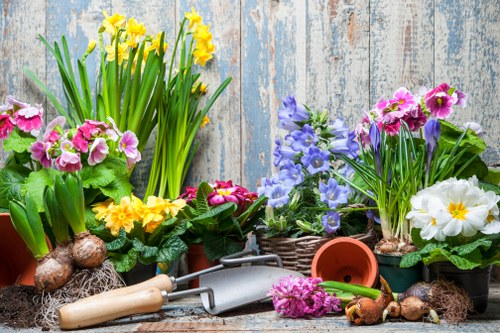 A collection of potted flowering plants in shades of yellow, pink, purple, and white arranged on a weathered wooden surface, representing typical garden planting elements. The display includes daffodils, primroses, and violets with lush green foliage, set against a rustic wooden background. Gardening tools such as a trowel, cultivator, and small spade are placed among the pots, along with a few bulbs and soil, highlighting gardening activities suitable for Mill Hill gardens. The scene reflects an outdoor garden space prepared for planting or early spring maintenance, with natural lighting emphasizing the bright, vibrant colours of the flowers and green leaves, indicative of seasonal gardening work undertaken by experienced landscapers and gardeners in the Mill Hill area. This arrangement showcases the appeal of professional planting services offered by Landscapers Mill Hill, enhancing outdoor spaces with vibrant floral displays and well-organised planting setups, characteristic of high-quality gardening and landscaping in North London postcode areas.